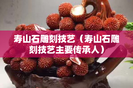 寿山石雕刻技艺（寿山石雕刻技艺主要传承人）