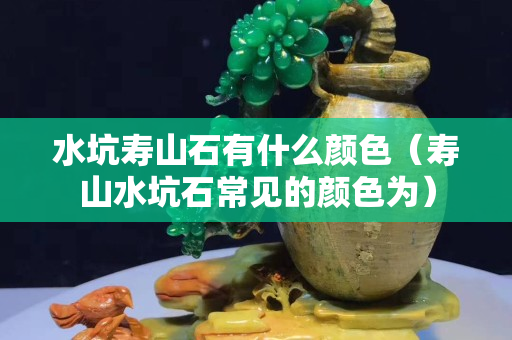 水坑寿山石有什么颜色（寿山水坑石常见的颜色为）