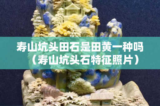 寿山坑头田石是田黄一种吗（寿山坑头石特征照片）