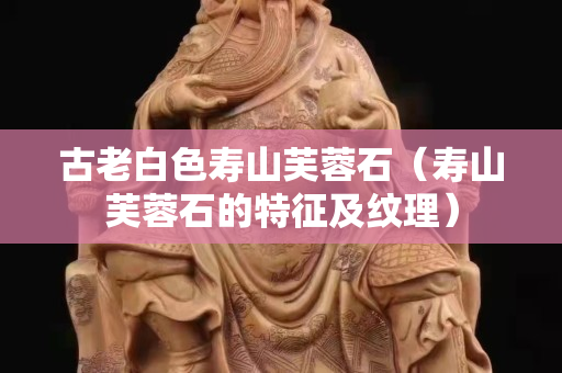 古老白色寿山芙蓉石（寿山芙蓉石的特征及纹理）