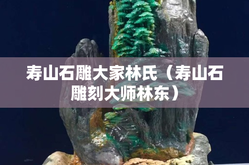 寿山石雕大家林氏（寿山石雕刻大师林东）