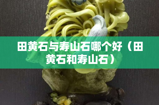 田黄石与寿山石哪个好（田黄石和寿山石）