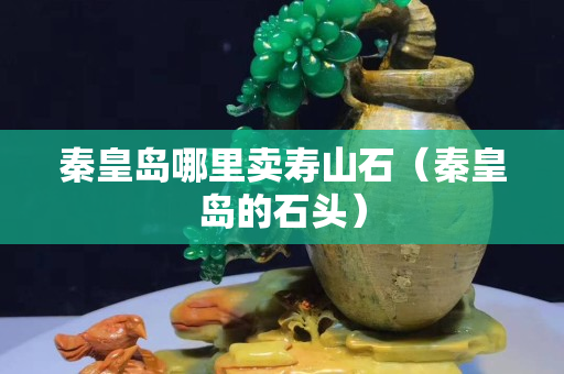 秦皇岛哪里卖寿山石（秦皇岛的石头）