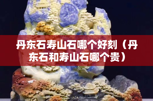 丹东石寿山石哪个好刻（丹东石和寿山石哪个贵）