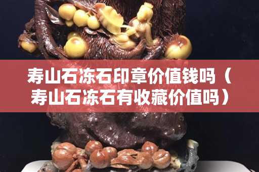 寿山石冻石印章价值钱吗（寿山石冻石有收藏价值吗）