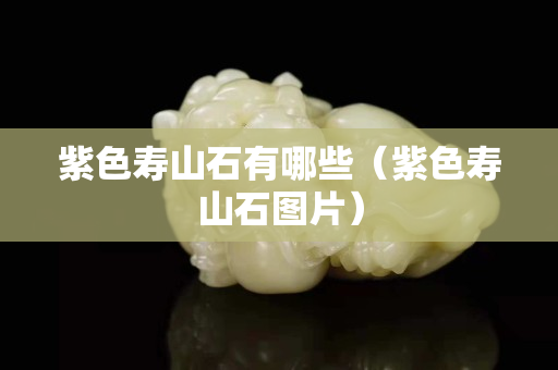 紫色寿山石有哪些（紫色寿山石图片）