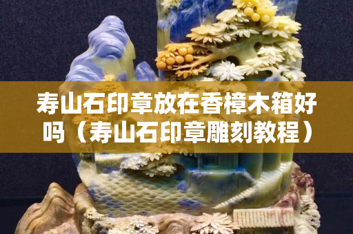 寿山石印章放在香樟木箱好吗（寿山石印章雕刻教程）