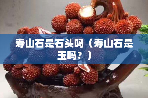 寿山石是石头吗（寿山石是玉吗？）