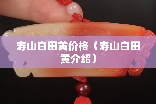 寿山白田黄价格（寿山白田黄介绍）