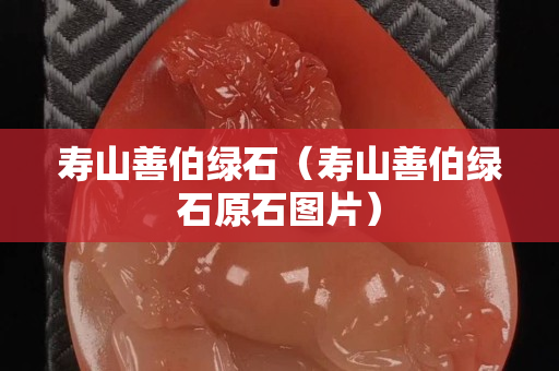 寿山善伯绿石（寿山善伯绿石原石图片）