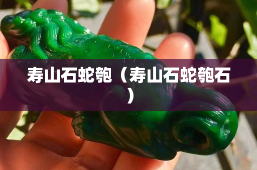 寿山石蛇匏（寿山石蛇匏石）