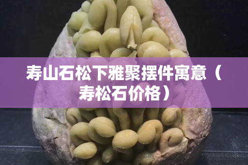 寿山石松下雅聚摆件寓意（寿松石价格）