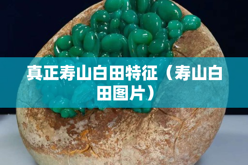 真正寿山白田特征（寿山白田图片）