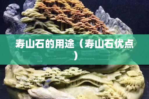 寿山石的用途（寿山石优点）