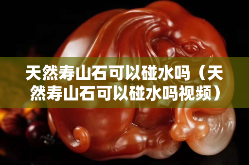 天然寿山石可以碰水吗（天然寿山石可以碰水吗视频）