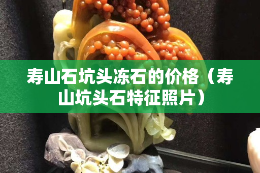 寿山石坑头冻石的价格（寿山坑头石特征照片）