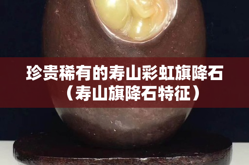珍贵稀有的寿山彩虹旗降石（寿山旗降石特征）