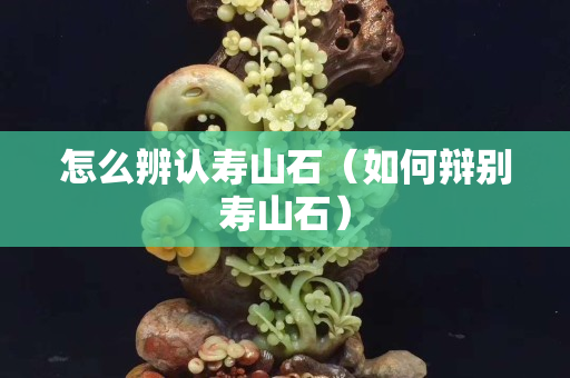 怎么辨认寿山石（如何辩别寿山石）