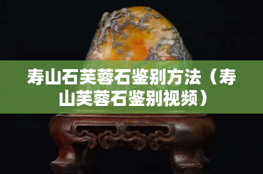 寿山石芙蓉石鉴别方法（寿山芙蓉石鉴别视频）