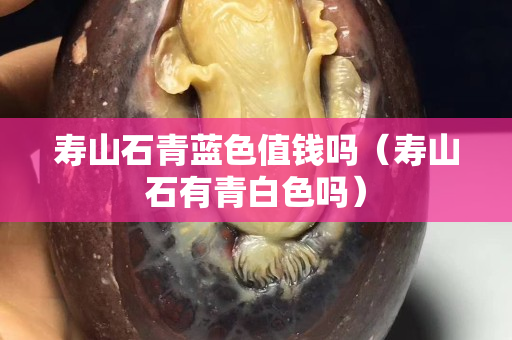 寿山石青蓝色值钱吗（寿山石有青白色吗）