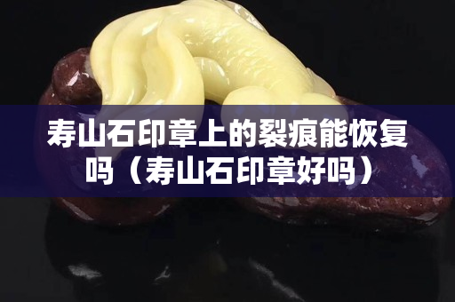寿山石印章上的裂痕能恢复吗（寿山石印章好吗）
