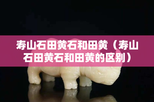 寿山石田黄石和田黄（寿山石田黄石和田黄的区别）