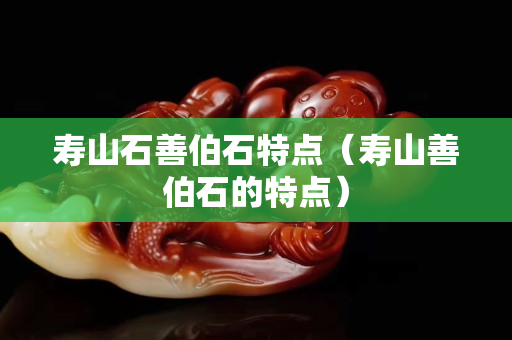 寿山石善伯石特点（寿山善伯石的特点）
