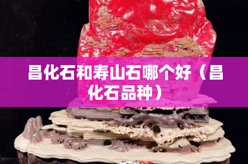 昌化石和寿山石哪个好（昌化石品种）