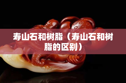 寿山石和树脂（寿山石和树脂的区别）