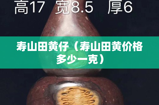 寿山田黄仔（寿山田黄价格多少一克）