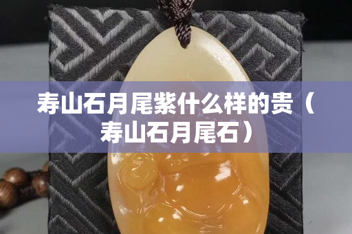 寿山石月尾紫什么样的贵（寿山石月尾石）