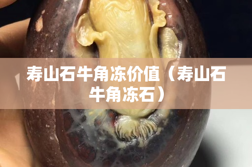 寿山石牛角冻价值（寿山石牛角冻石）