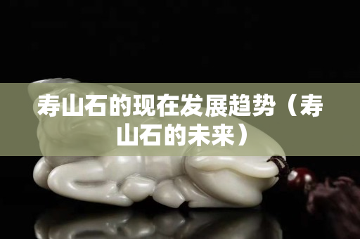 寿山石的现在发展趋势（寿山石的未来）