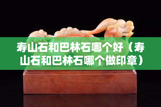 寿山石和巴林石哪个好（寿山石和巴林石哪个做印章）