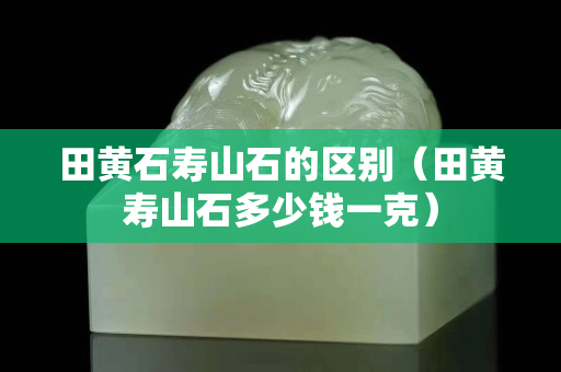 田黄石寿山石的区别（田黄寿山石多少钱一克）