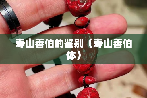 寿山善伯的鉴别（寿山善伯体）