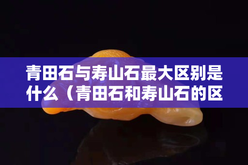 青田石与寿山石最大区别是什么（青田石和寿山石的区别）