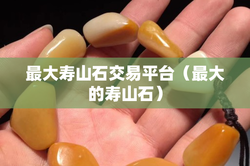 最大寿山石交易平台（最大的寿山石）