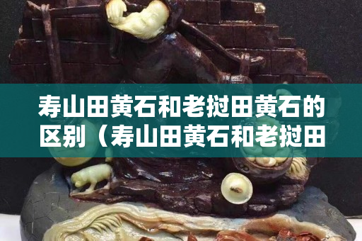 寿山田黄石和老挝田黄石的区别（寿山田黄石和老挝田黄石的区别视频）