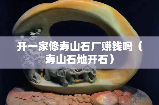 开一家修寿山石厂赚钱吗（寿山石地开石）