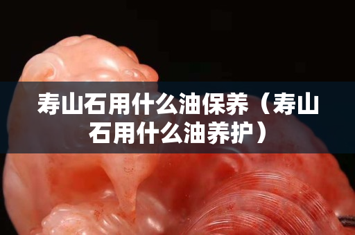 寿山石用什么油保养（寿山石用什么油养护）
