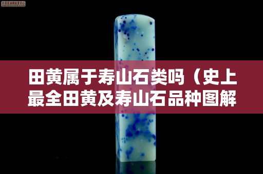 田黄属于寿山石类吗（史上最全田黄及寿山石品种图解）