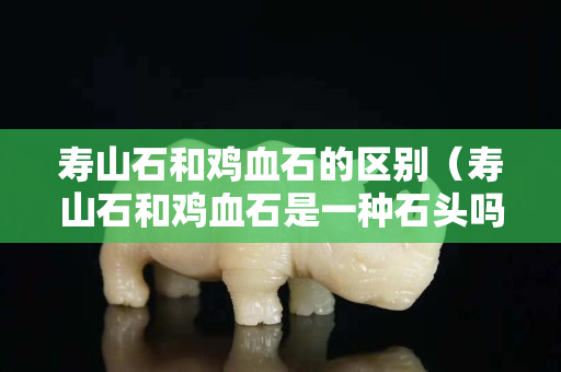 寿山石和鸡血石的区别（寿山石和鸡血石是一种石头吗）