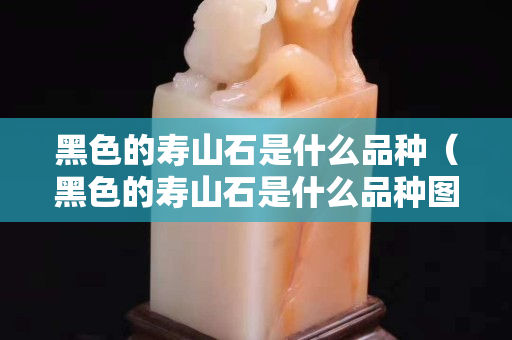 黑色的寿山石是什么品种（黑色的寿山石是什么品种图片）