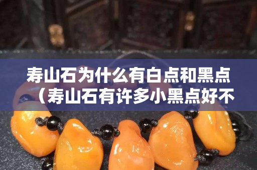 寿山石为什么有白点和黑点（寿山石有许多小黑点好不好）