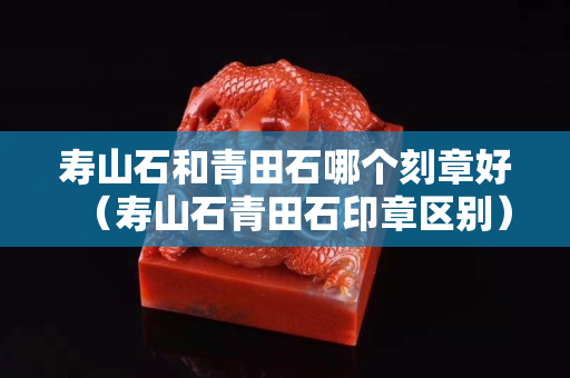 寿山石和青田石哪个刻章好（寿山石青田石印章区别）