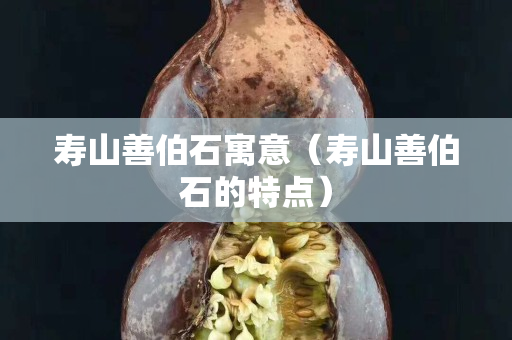 寿山善伯石寓意（寿山善伯石的特点）