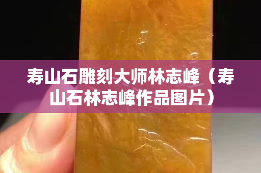 寿山石雕刻大师林志峰（寿山石林志峰作品图片）