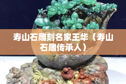 寿山石雕刻名家王华（寿山石雕传承人）