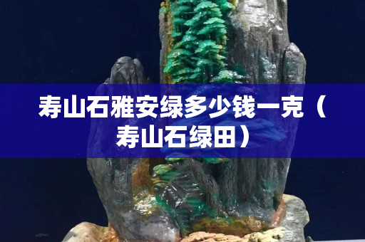 寿山石雅安绿多少钱一克（寿山石绿田）
